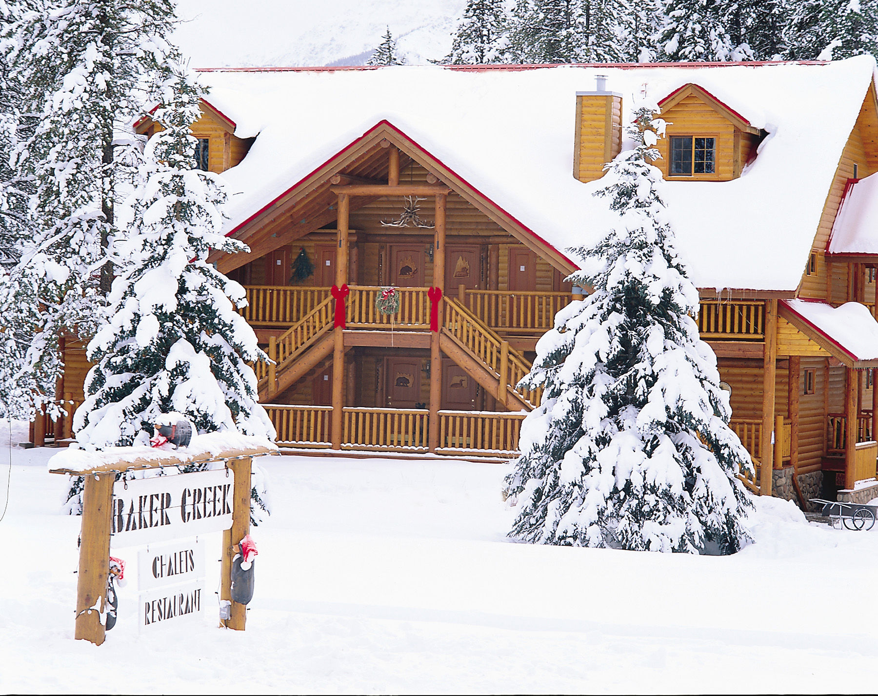 Baker Creek By Basecamp Hotell Lake Louise Eksteriør bilde
